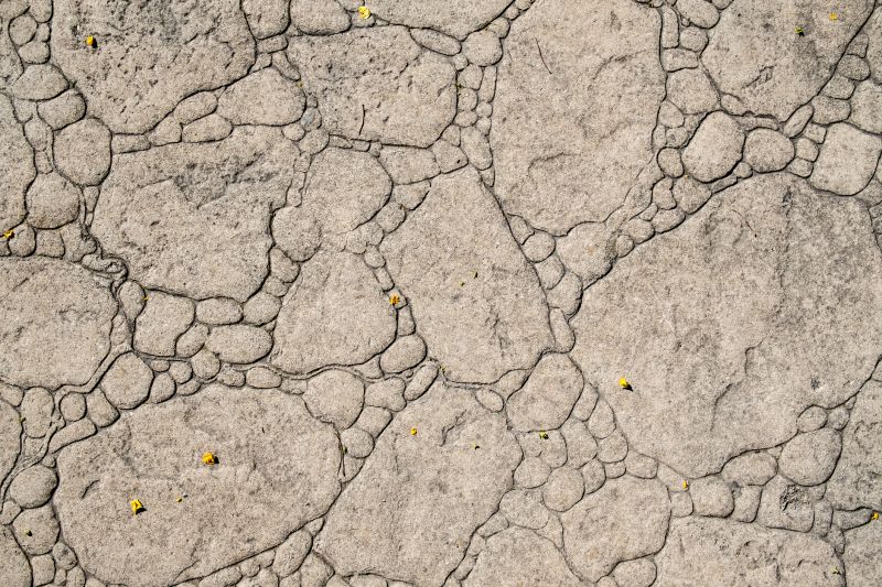 Decorative Concrete Repair in Loveland, CO